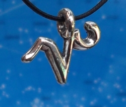 Capricorn Zodiac Pendant