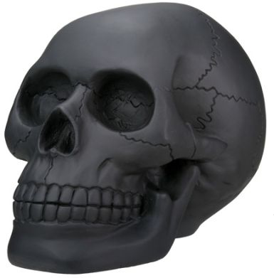 Black Skull Statue