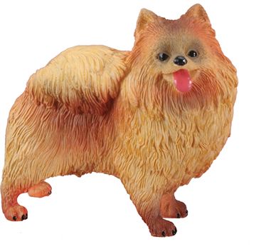 Dog Breed Statues - Pomeranian