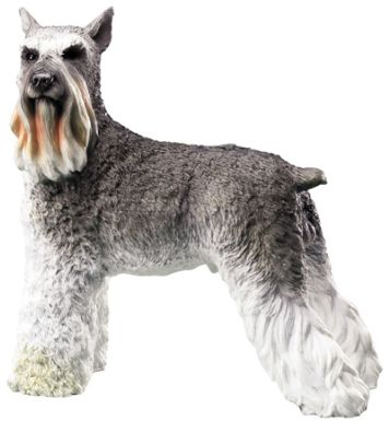 Dog Breed Statues - Schnauzer - Large