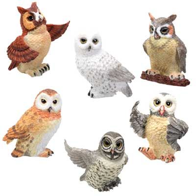 Owls (Set of 6)
