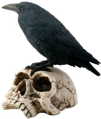 Raven On Skull Statue