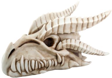 Small Dragon Skull Statue