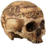 Human Head Skull