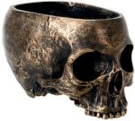 Skull Planter Skull Planter