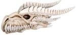 Dragon Skull Statue Dragon Skull Statue