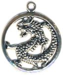 Encircled Celtic Dragon Celtic Jewelry Pendant