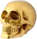 Gold Skull Statue Gold Skull Statue