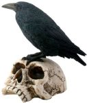 Raven On Skull Statue
