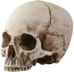 Skull Head Statue