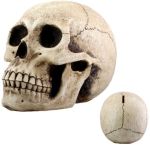 Skull Money Bank