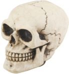 Skull Car Shift Knob Figurine Statue Skull Car Shift Knob Figurine Statue