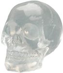 Translucent Skull Statue Translucent Skull Statue